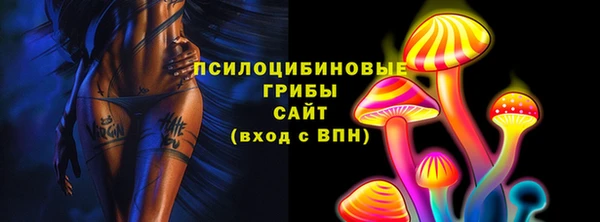 соль ск Наволоки