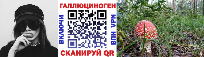 Галлюциногенные грибы прущие грибы  Шумерля 